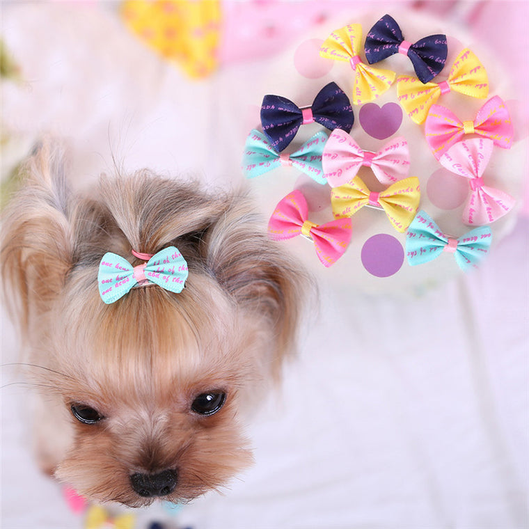 Pet Hair Clips Pins