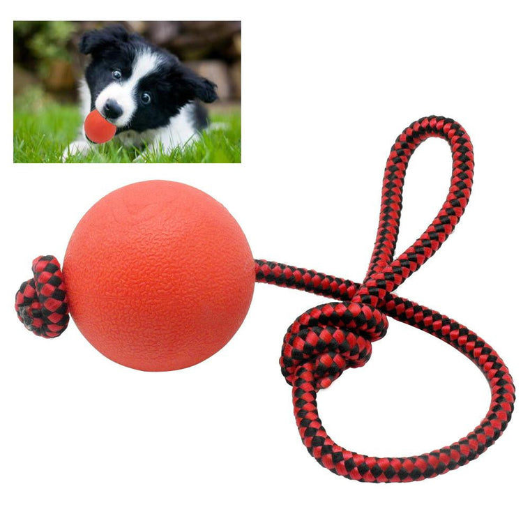 Solid Rubber Dog Chew Training Ball Toys