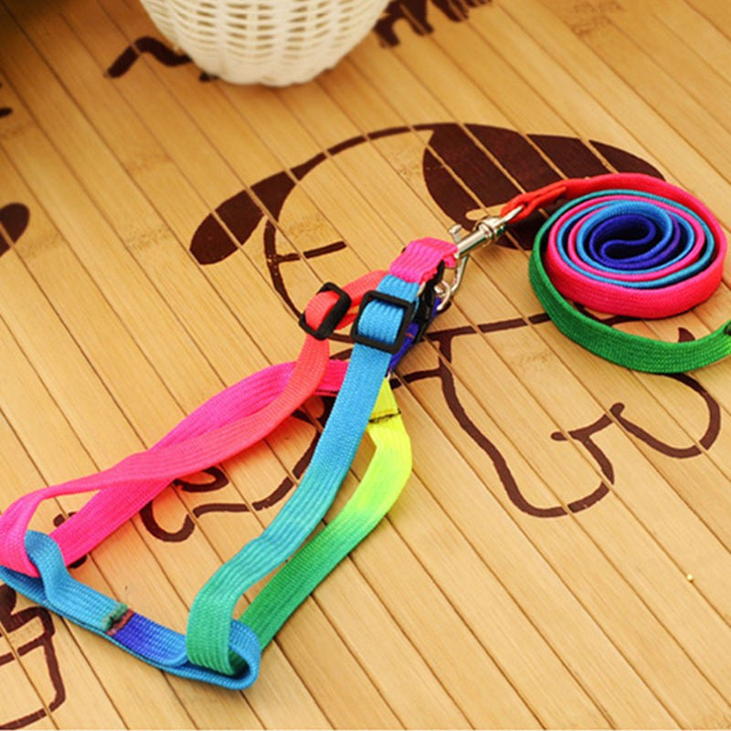 Adjustable Pet Small Nylon Harness